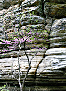 Sandstone cliff walls of Starved Rock State Park, Utica, IL