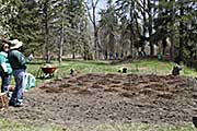 Mounds for companion garden of squash, corn, beans